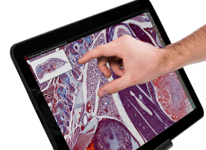 M8+R Microscope and Scanner – Transmitted & Reflected Light_2172981