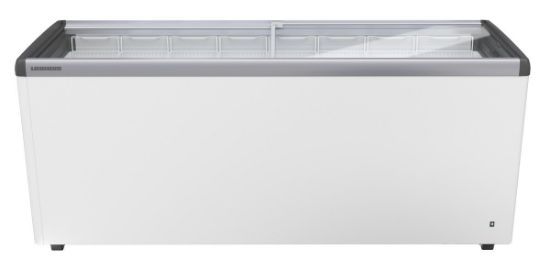 593L DISPLAY FRREZER WITH SLIDING GLASS LID + LED LIGHTS_2183481