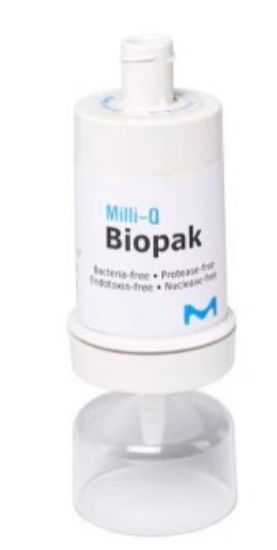 Biopak® polisher_2082852