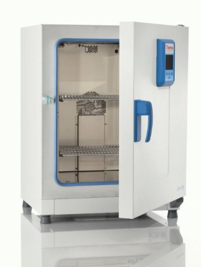 OVEN GP 60L 230V - OGS60_1562071