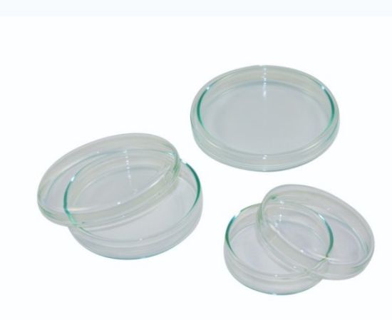 LLG-Petri dish 15x60mm, glass_1570323