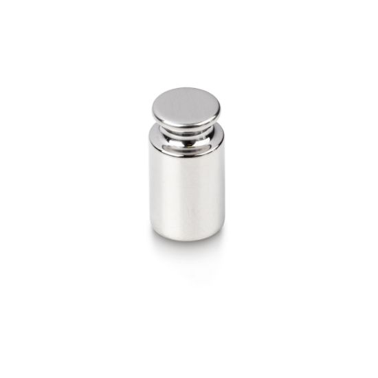 10 g E1 single weight stainless steel *** Please include mandatory weight case ***_1129028