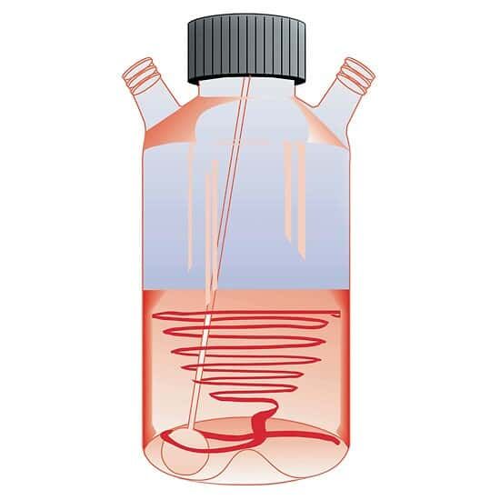 Techne, Culture Flask, 21837-30 (F7607), Glass Cell , 500 mL_1711136