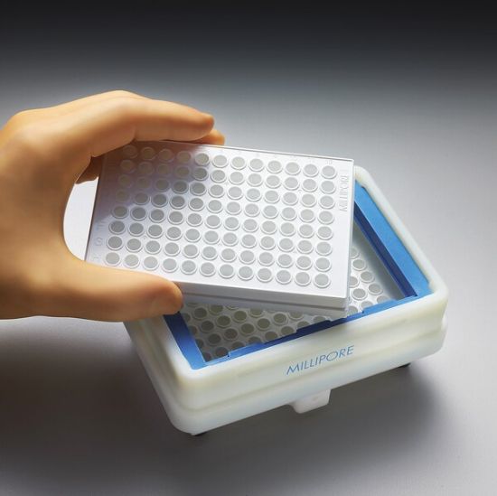 MSVMHTS00 - Merck- MultiScreen HTS vacuum filtrations system_2247071