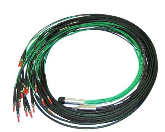 8 Channel Fiber Bundle for Opt-Diss, PVC Cover_1697015