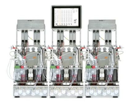Multifors 2 Benchtop Bioreactor_2280980
