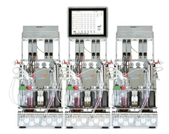Multifors 2 Benchtop Bioreactor_2280980