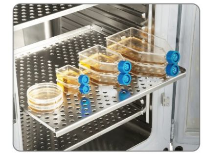 CO2 Incubator 80L_2281952