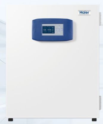E series CO2 Incubator 258L_2281954