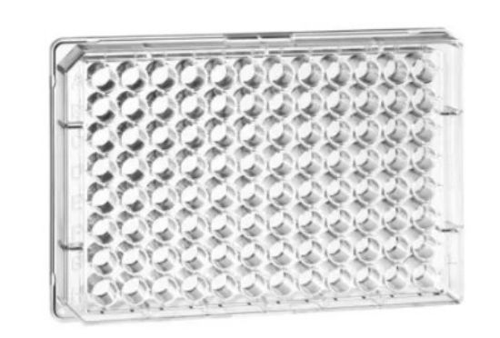 UV-Star microplates 96-well F-bottom, chimney shape, μClear, transparent, pack of 40_1579271