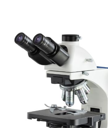 Kern Compound microscope Trinocular Inf Plan 4/10/20/40/100; WF10x20; 20W Hal_1317105