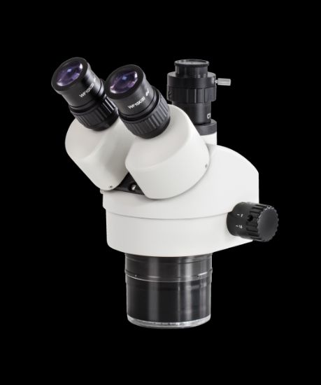 Stereo Zoom Microscope Head (Integrated Illumination)_1536155
