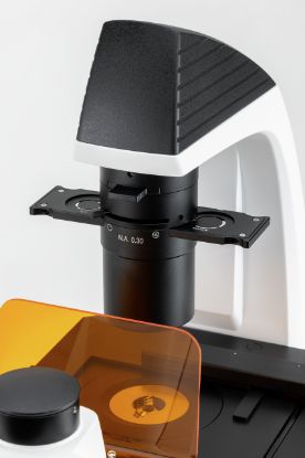 Kern Fluorescence Microscope Inverted | 10× / 20× / 40× | LED_1668091
