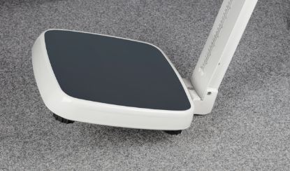 Kern Integratable Personal Scales for Wireless Transfer of Weighing Data to EMR or EHR Systems, 250 kg, 100 g, 365×360 mm_1924513