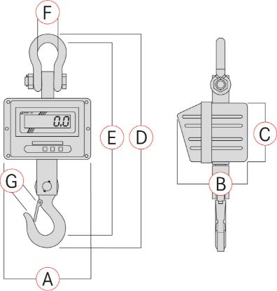 Kern Crane Scale 100 g 1000 kg_1195444