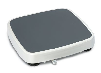 Kern Personal Scale, 0.1 kg 250 kg_1219989