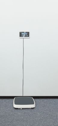 Kern Personal Scale, 0.1 kg 250 kg_1219989