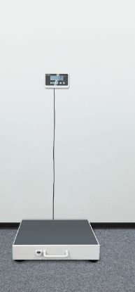 Kern Personal Floor Scale 300 kg, Large Platform_1428659
