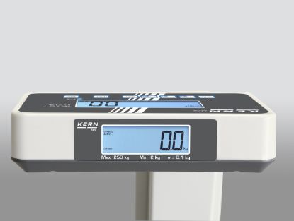 Kern Personal Floor Scale MPE-E, 250 kg Capacity, 0.1 kg Readability, BMI Function, Medical Approval, Verification Class III_1429097