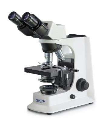 Kern High-quality Phase Contrast Microscope – Specially Pre-configured with a Series of Options for Flexible Expansion; 4× / 10× / 40× / 100×_1882838