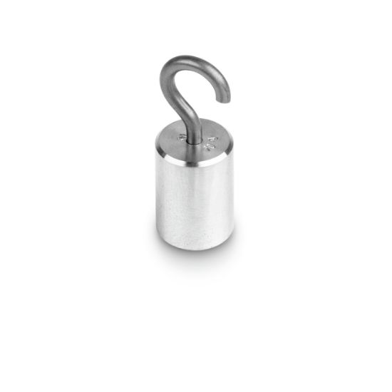 Kern Single Weight, 10 g, M1, Hook Weight, Stainless Steel Fine-Turned ...