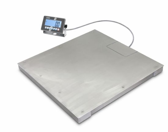Stainless steel floor scale, Weighing range 1500 kg, Readout 0.5 kg_2246751