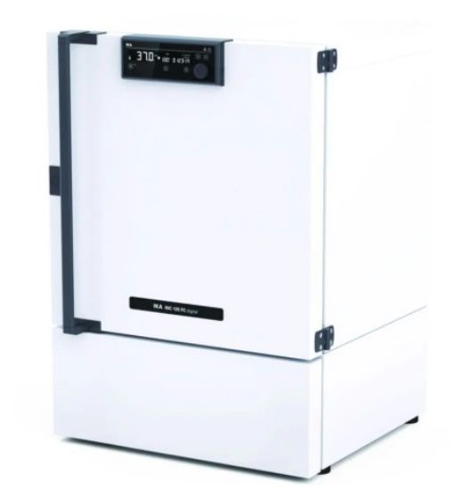 IKA - Incubator cooled INC 125 FC_2308580