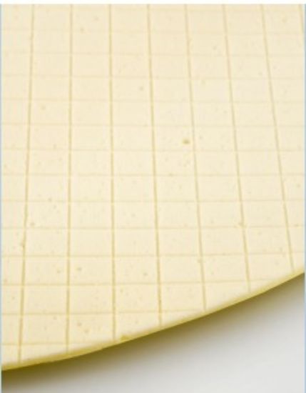 14" Diameter plain Expanded Polyurethane Polishing Pad - 0.050" thick W/PSA backing (Type 14EP1P) - Pack of 5_1658587