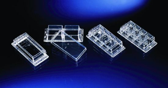 Chamber cover slips, Lab-Tek 8 chamber PC, glass, CC, lid sterile, pack ...