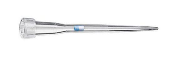 ep Dualfilter T.I.P.S.®, Forensic DNA Grade 0.1-10 μL, colourless tips ...
