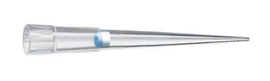 ep Dualfilter T.I.P.S.®, Forensic DNA Grade 2-200 μL, colourless tips ...