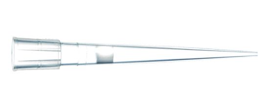 Pipette tips Finntip with Filter Tips-Volume range 0.2μl-10ml-Thirteen different models including extended versions-Filters made from polyethylene, cannot be autoclaved-Supplied in vacuum sealed sterilized tip racks-Ideal for PCR and other_1900786