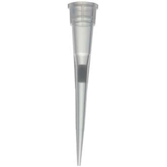 Cole-Parmer Universal Pipette Tips with Filter, Sterile, 10 Î¼L; 10 Racks x 96 Tips_1653130