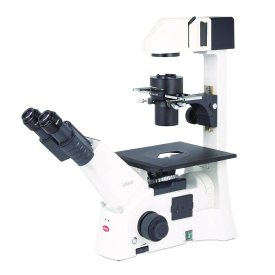 Inverted microscope AE31E Binocular lens tube, 45° viewing angle | John ...
