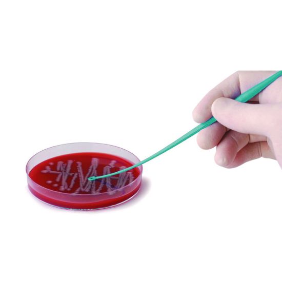 LLG-Inoculation loop, PS, sterile one end needle / one end loop 1 μl 10 ...