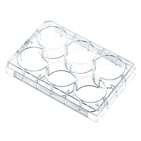 Tissue Culture Plates 6 Well flat bottom, TC-treated, blister packaging, sterile, pack of 10x10_2324822