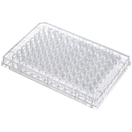 Tissue Culture Plates 96 Well flat bottom, TC-treated, blister packaging, sterile, pack of 10x10_2324824