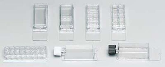 Thermo Scientific Nunc Chamber Slide System Permanox 4-Well 16 Pack ...