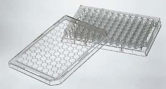 Thermo Scientific Nunc Nunclon 96-Well Flat-Bottom Microwell Plate with ...