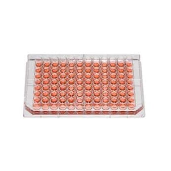 Thermo Scientific Nunc 96 Well Edge Plate with Lid, Sterile, Non ...