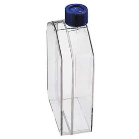 Thermo Scientific Nunc Nunclon Cell Culture Flask, 80 cm², Straight Neck, Filter Cap, 50/Case_1083573