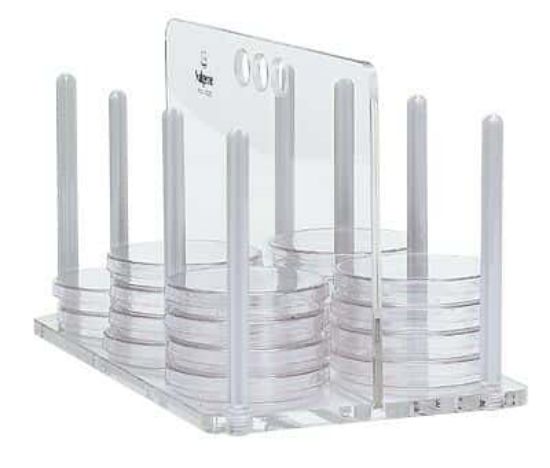 Thermo Scientific Nalgene Petri Dish Rack for 60 Dishes, 100 mm ...