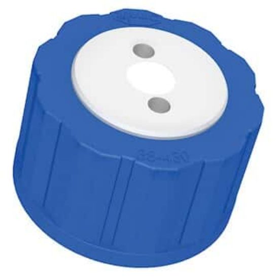 Diba Omnifit T-Series Solvent Bottle Cap, GL38/38-430 (glass), 2 Luer ...