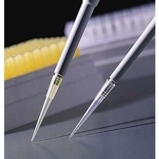 Corning Universal Pipette Tips, 1 to 200 μL, Yellow, Non-Sterile; 1000 ...
