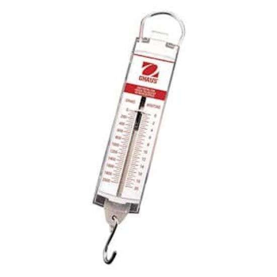 Ohaus Pull-Type Hanging Spring Scale, 1000g x 10g | John Morris Group ...
