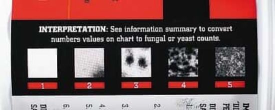 Cole-Parmer SANI-CHECK YM Microbial Test Kits Yeast and Mold Test Kit ...