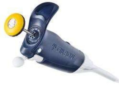 Gilson PIPETMAN L Fixed F50L 50μL Fixed Volume Pipette_1190139