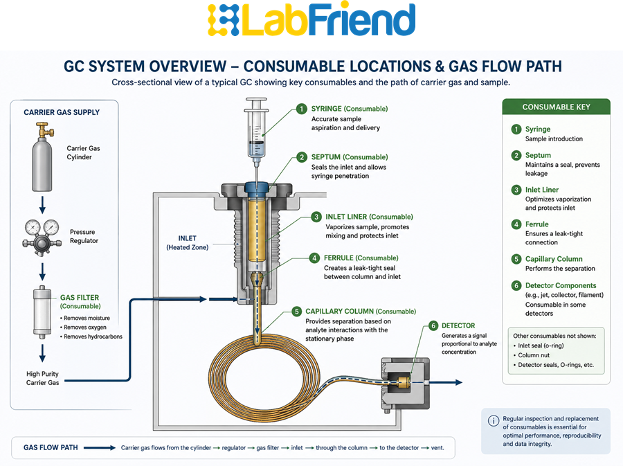 Annotated diagram showing the location of GC consumables including the syringe, septum, inlet liner, ferrule, capillary column, gas filter and detector within a gas chromatography system.