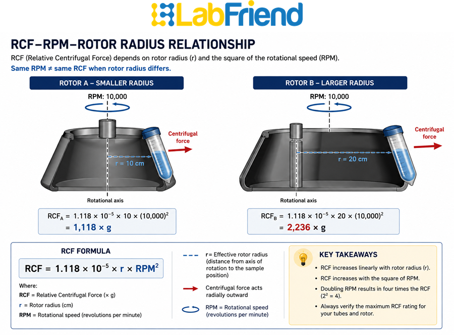 Diagram showing how centrifuge RCF depends on RPM and rotor radius, with two rotor radii compared at the same rotational speed.