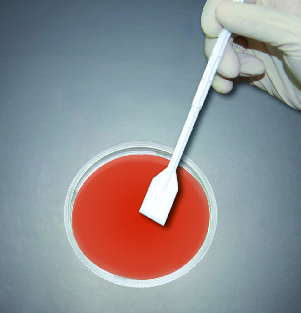 Flat blade cell lifter 23,4cm Individually packaged, sterile, pyrongen